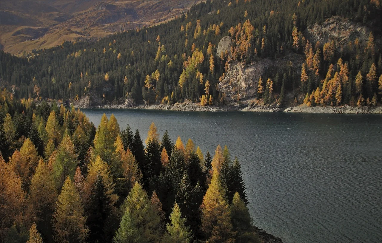 Jezioro Morskie Oko otoczone lasem w jesiennych barwach, widok z trasy w Tatrach
