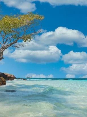 Teneryfa (Costa Adeje): co zawiera oferta wakacyjna i praktyczne wskazówki