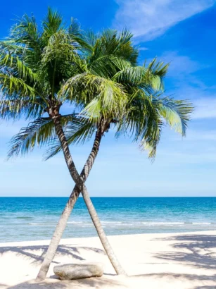 Wakacje egzotyczne: Zanzibar, Sri Lanka i najlepszy czas na wyjazd
